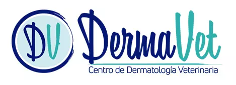 Clientes | Agencia digital en Medellín
