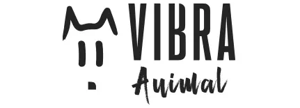 Clientes | Agencia digital en Medellín